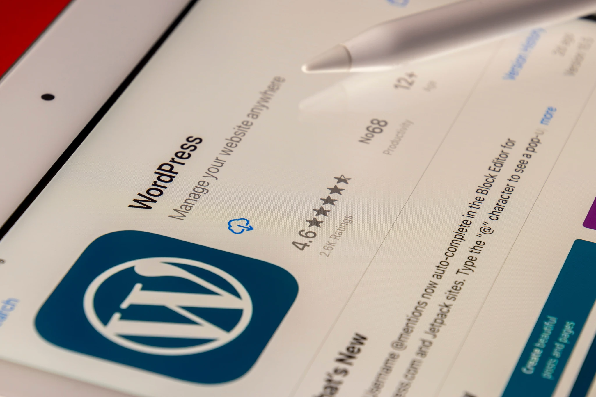 Chatbots for WordPress
